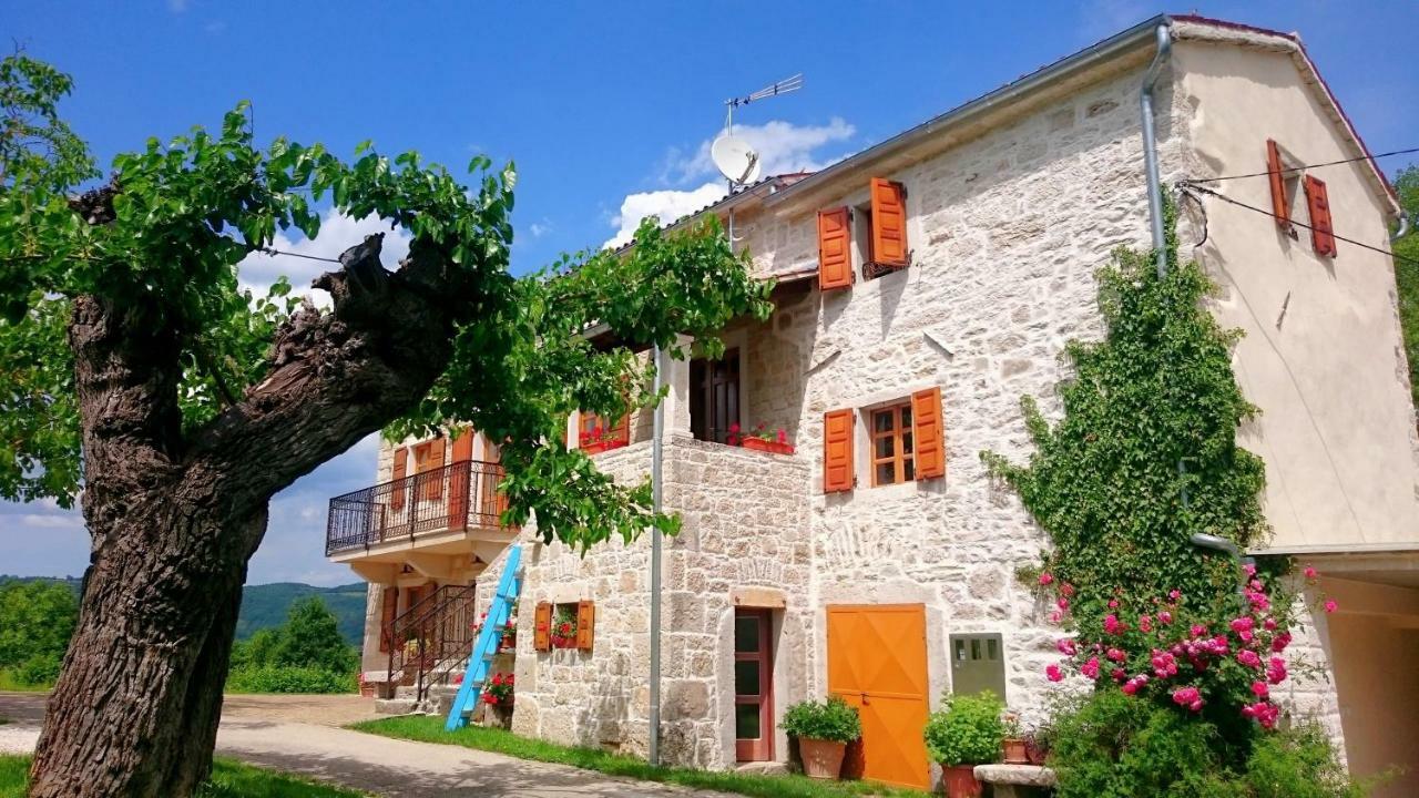 Villa Angela E Giovanni Vižinada Dış mekan fotoğraf