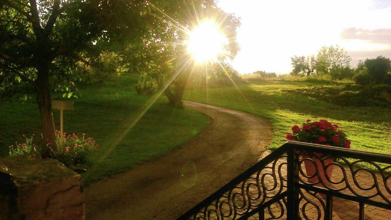 Villa Angela E Giovanni Vižinada Dış mekan fotoğraf